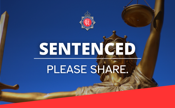 Sentenced banner