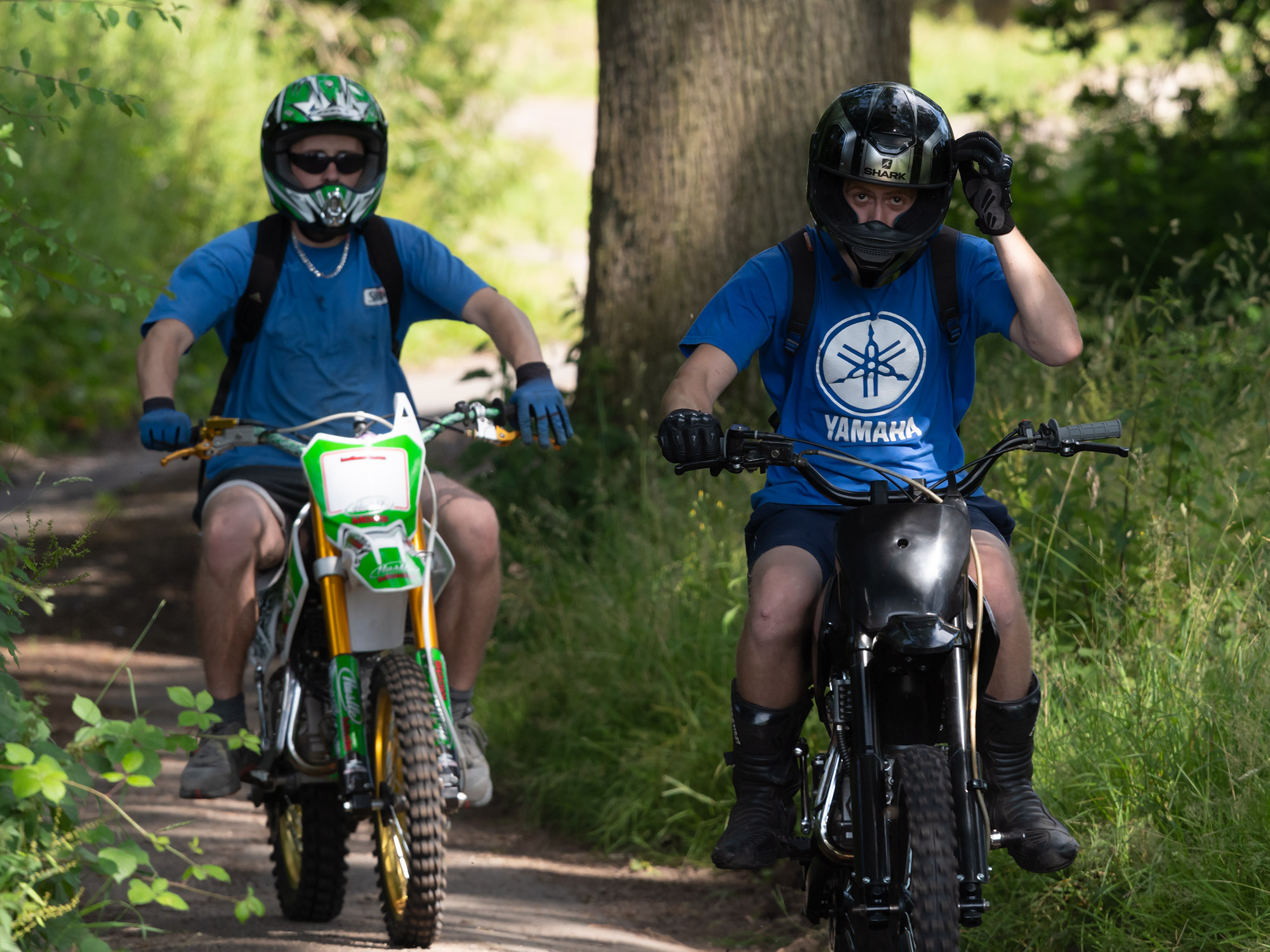 Forest bikers 01