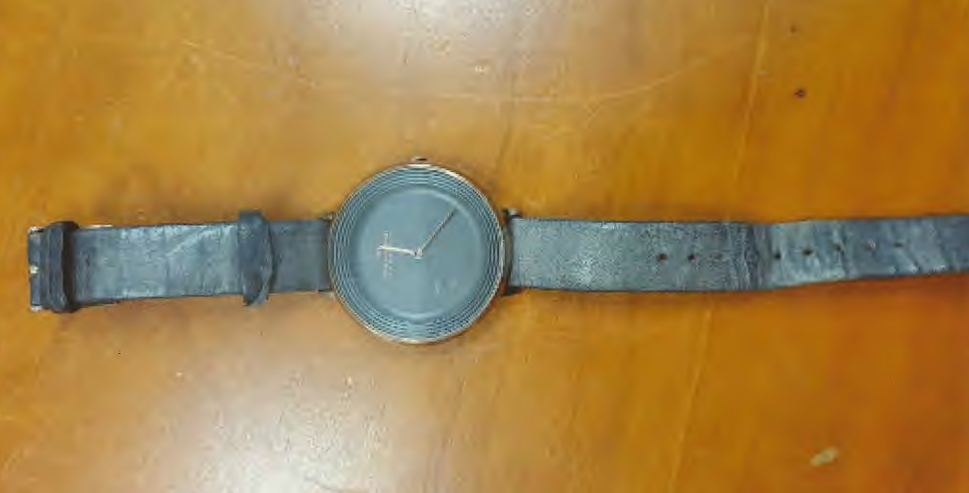 Skagen 2