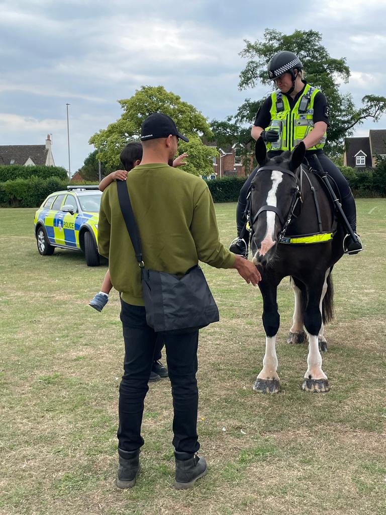 Female police officer on brown horse. Man holding child who is petting the horse.